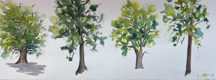 Intro to Watercolor
