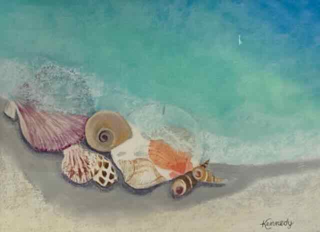 Collecting Shells