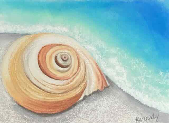 Nautilus Dreams