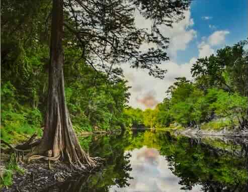 The Burning Suwannee