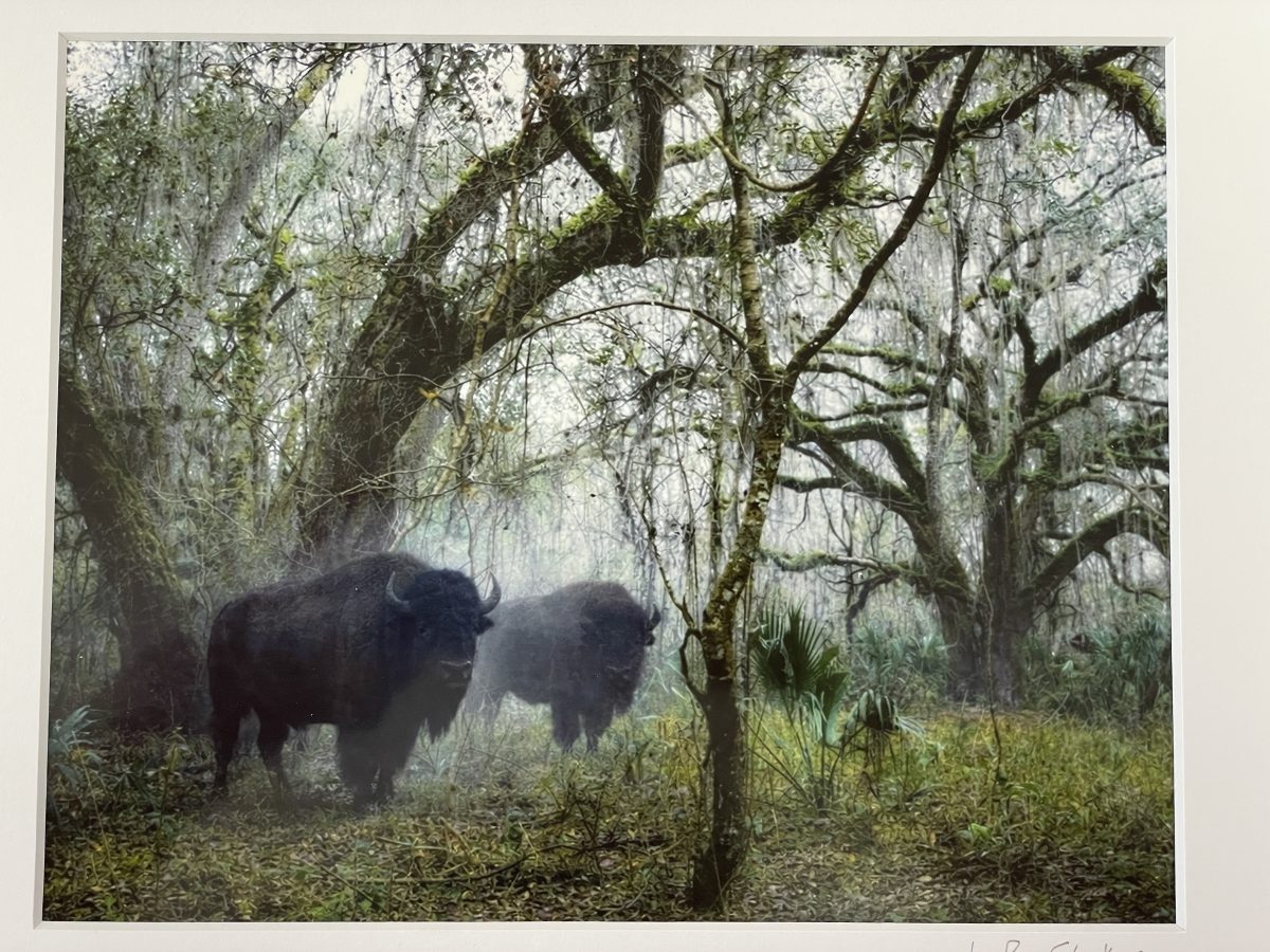 333 Buffalo at Bolens