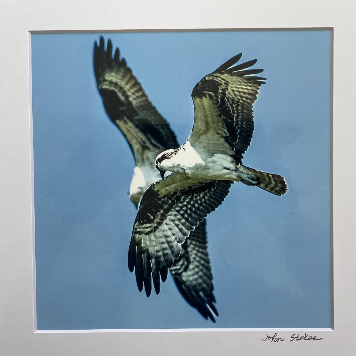 333 Osprey waltz