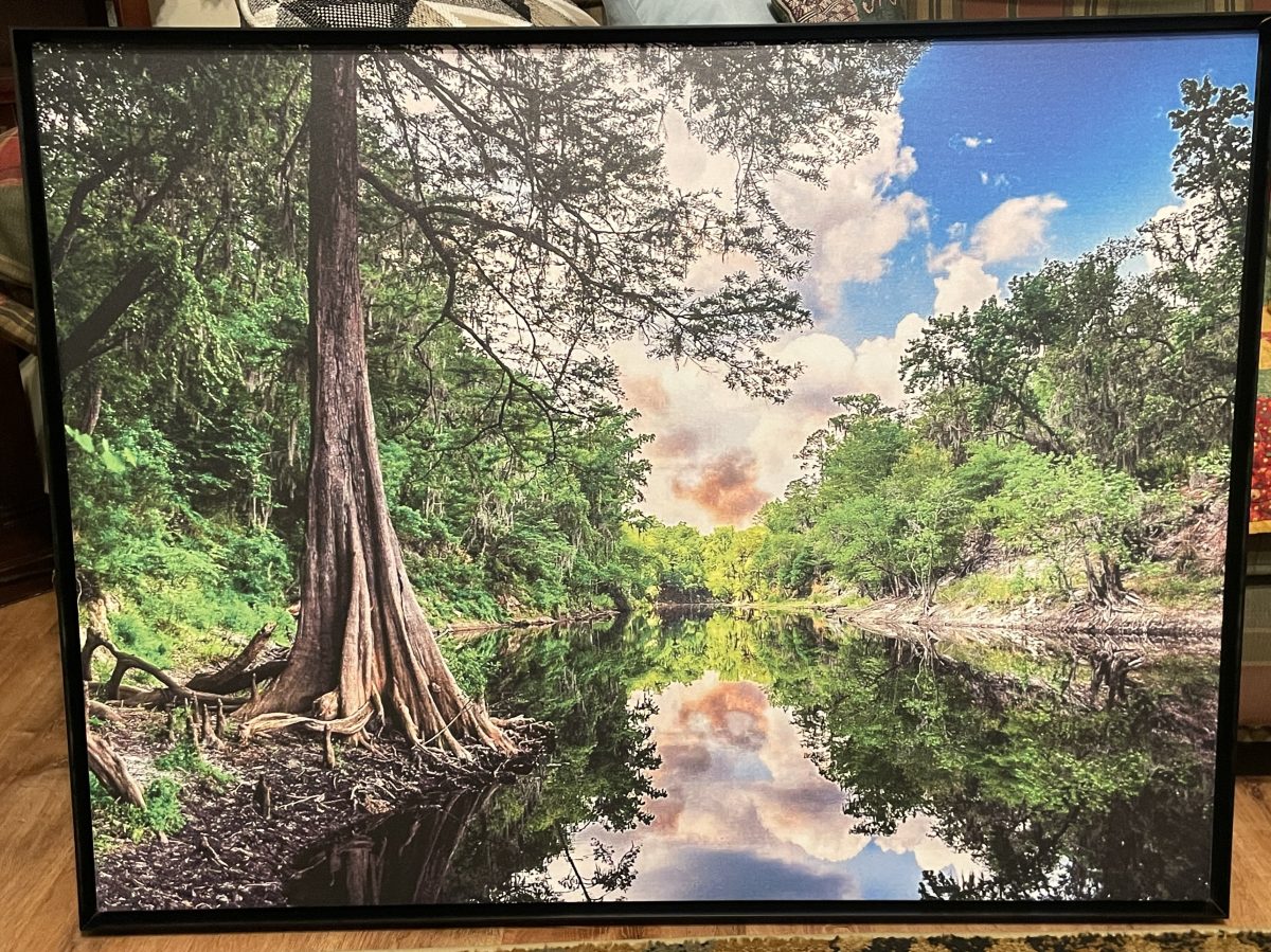 333 The Burning Suwannee