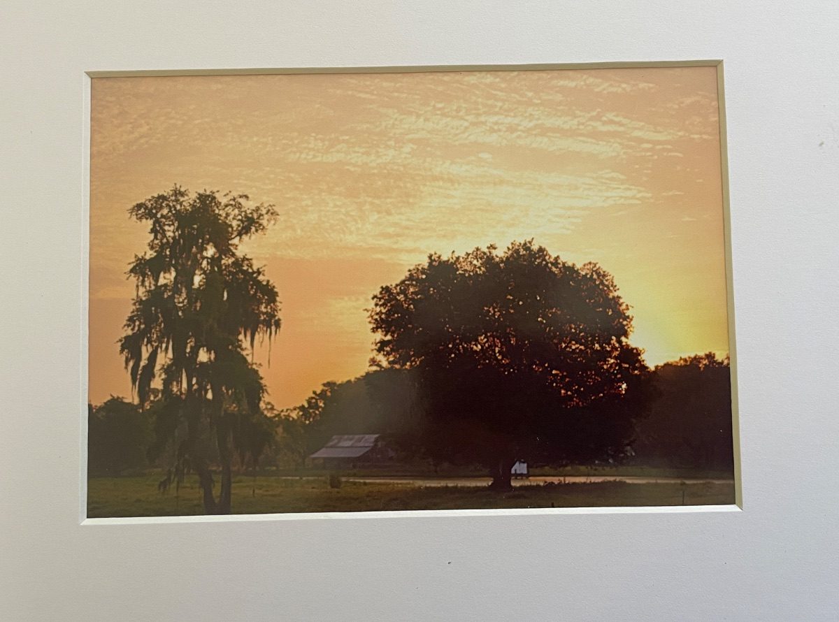 333 Old Florida