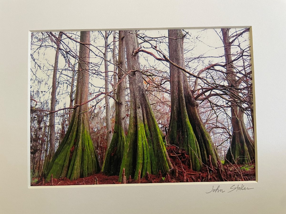 333 Cypress Sentinels